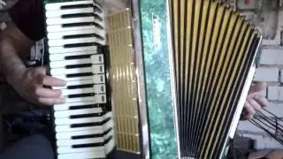 Відеоогляд Аккордеон  -  Аккорд  - Одинокая ветка сирени