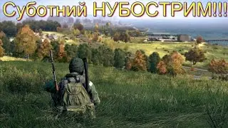 Dayz SIB Снова выживаю!)