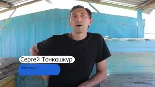 Пасека