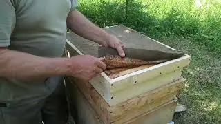 🐝🐝🐝 Вот  и  дождались  🌧