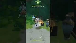 Сундуки в Genshin Impact 28 