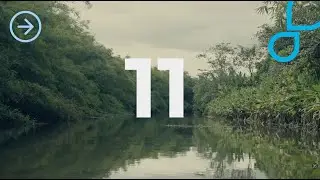 Introducing IDBImpact+ 11