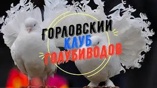 ВНИМАНИЕ!ВНИМАНИЕ!ПРИГЛАШАЕМ НА ВЫСТАВКУ-2018
