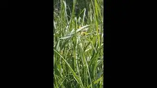 Защита от порчи и сглаза своими руками