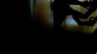 Dinosaur unboxing