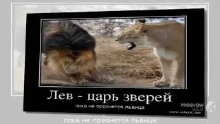 Анекдоты  Выпуск 1