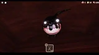 Playing Doors And This Happens...