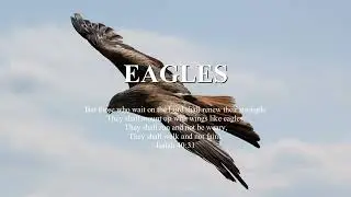 (FREE) Emotional Rock Rap Type Beat 