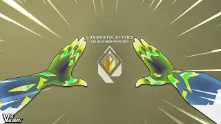 That's Why RADIANTES Are LOVING The New AGENT WAYLAY...