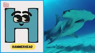 A to Z Deep Sea Creatures 🌊🐡 | ABC Phonics Song for Kids | UZR Kids #abcd #kids