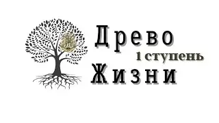 Древо Жизни 1 ступень