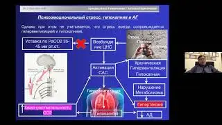 [2020.11.12_ВЕБИНАР] Новые возможности коррекции стресса