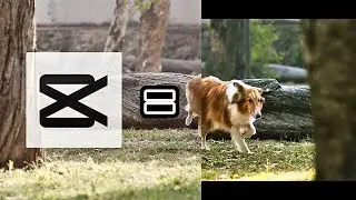 CAPCUT COLOR GRADING CINEMATOGRAFICO no FILTRO🎬📽️