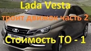 Лада Веста - троит двигатель при холодном пуске! Часть 2, ТО-1