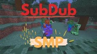 So I joined an SMP...