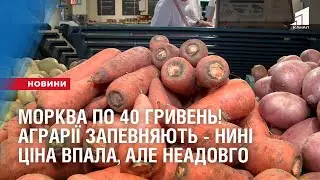 Морква по 40 гривень! Аграрії запевняють - нині ціна впала, але неадовго
