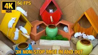 CAT GAME ➔ The Colorful Ceramic Urn Village: White Mice Birdhouse Cabins & Clay Tunnels in 4K