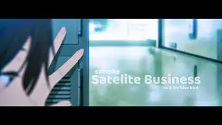 Satellite Business