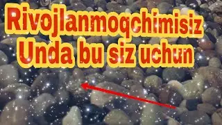 Davronbek Turdiyev Eng muxim savollarga javoblar. Давронбек Турдиев Энг мухим саволларга...