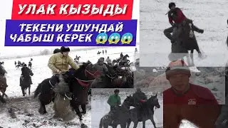 Улак 🔥болду! Текени такымдап чабам десең, Лейлек Улака бар!