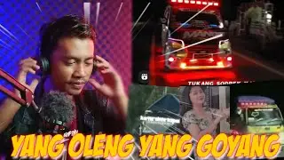 TERBARU !!! REACTION TRUK TRUK OLENG INSTAGRAM TRUK KALIMANTAN