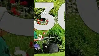 Сколько нужно растений для цветника? 🤔 