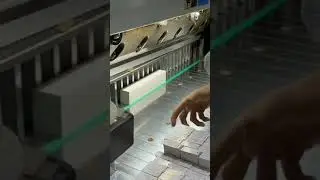 Sabar dikit lah mas😀😀