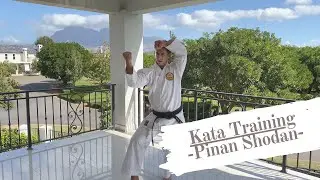 Kata Training Day (Pinan Shodan)