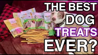 THE BEST DOG TREATS FOR YOUR DOG EVER!