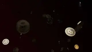 Bitcoin coins - 4k, Free Stock Footage, Copyright Free,  Background, 10-sec loop