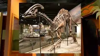 Parasaurolophus sounds! w/ Reggie Sauls | #Shorts