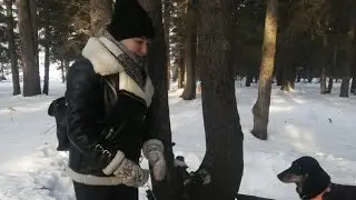 влог. прогулка в лес с мамой.