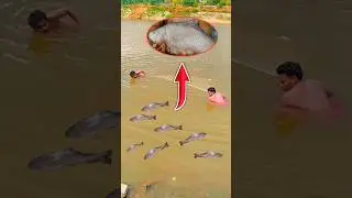 Desi cast net fishing 🐠🐟🦈|| village net fishing 🐠🐟🦈