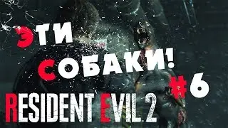 Resident Evil 2 Remake ПРОХОЖДЕНИЕ - ЭТИ СОБАКИ! #6