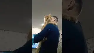 Добыча сама в лапы идёт.