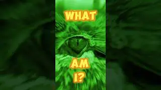 Can you guess what am I? 