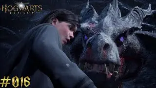 Hogwarts Legacy #015 - Das Drachenei muss zurück zur Mutter / Weitere Spuren von Isidora Morganach