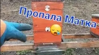 Пропали Матки.Правильно сделал или нет?