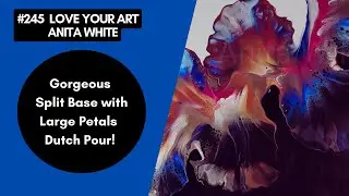#245- Gorgeous Split Base Large Petals | Dutch Pour!