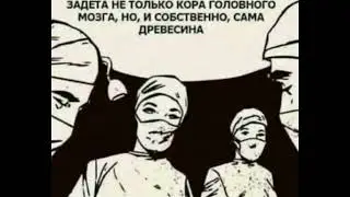 Мошенники всех мастей (сборник 37)