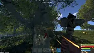 Rust_20240309204405