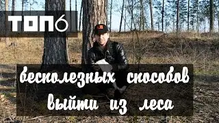 6 бесполезных способов выбраться из леса