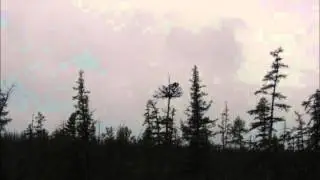 Mogwai - Local Authority.wmv