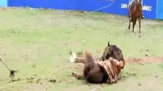 JARIPEO EN MESA DEL SALTO  PTE  3