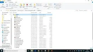 Instalando Biblioteca conio no CodeBlocks
