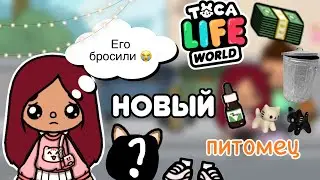 Бездомный котёнок 🐈‍⬛🥺🩷 / Toca Life World / тока бока / toca boca / Secret Toca