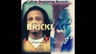 Traveled Through The Storm Official Audio