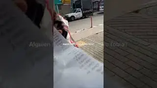Lepidoptero de patas amarillas. Lo habías visto?