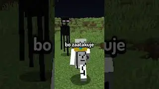 ENDERMAN JEST CZŁOWIEKIEM