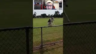 Funny Compilation Clip